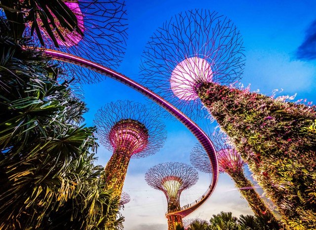 city-nature-offbeat-singapore